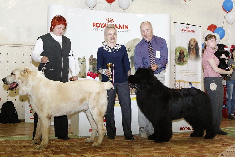 Фотография № 152302