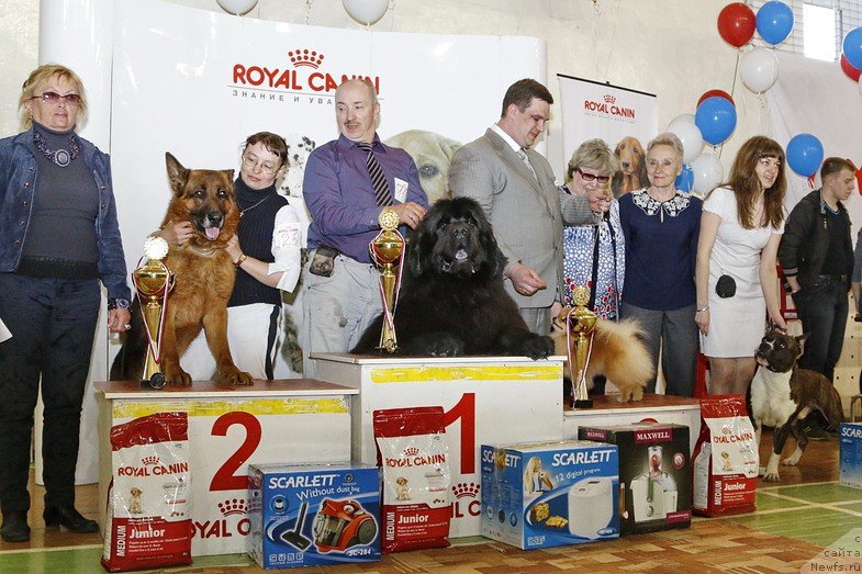 Фотография № 152304