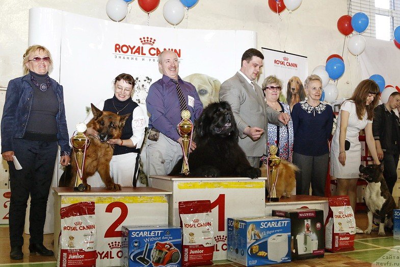 Фотография № 152305