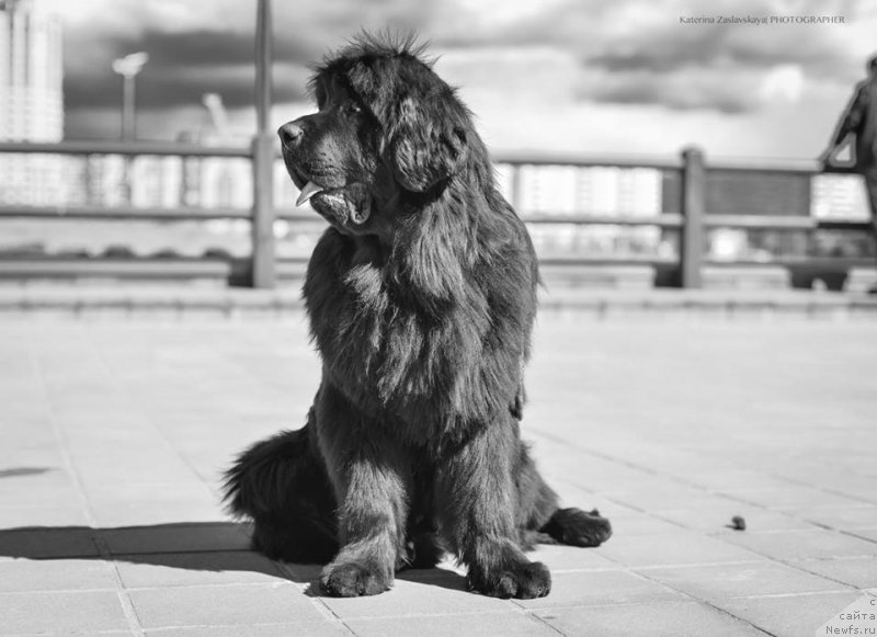 Фотография № 152309