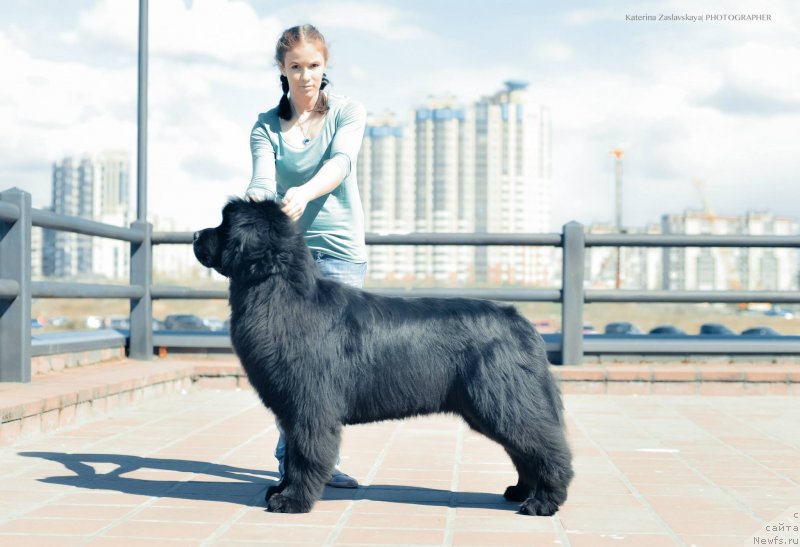 Фотография № 152311