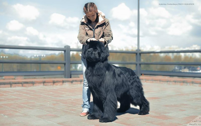 Фотография № 152313