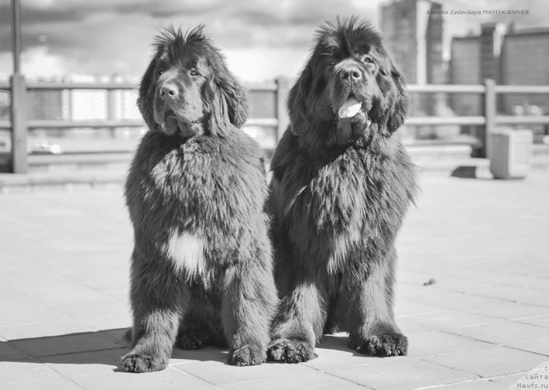 Фотография № 152314