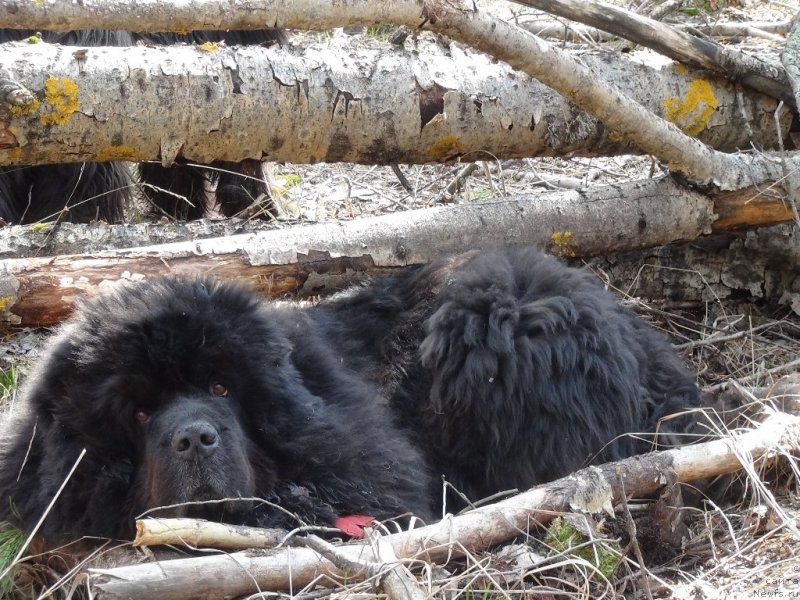 Фотография № 152315