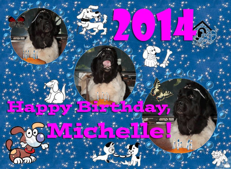 Фото: ньюфаундленд Don't Worry Be Happy de L'Etoile de Cyrice