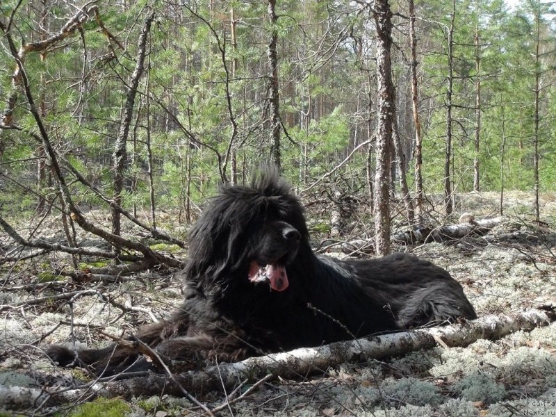 Фотография № 152341