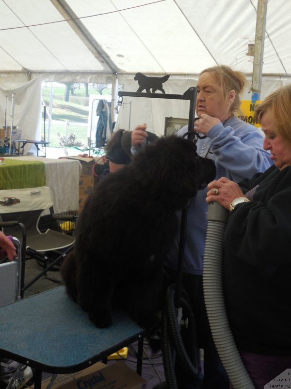 Фотография № 152431