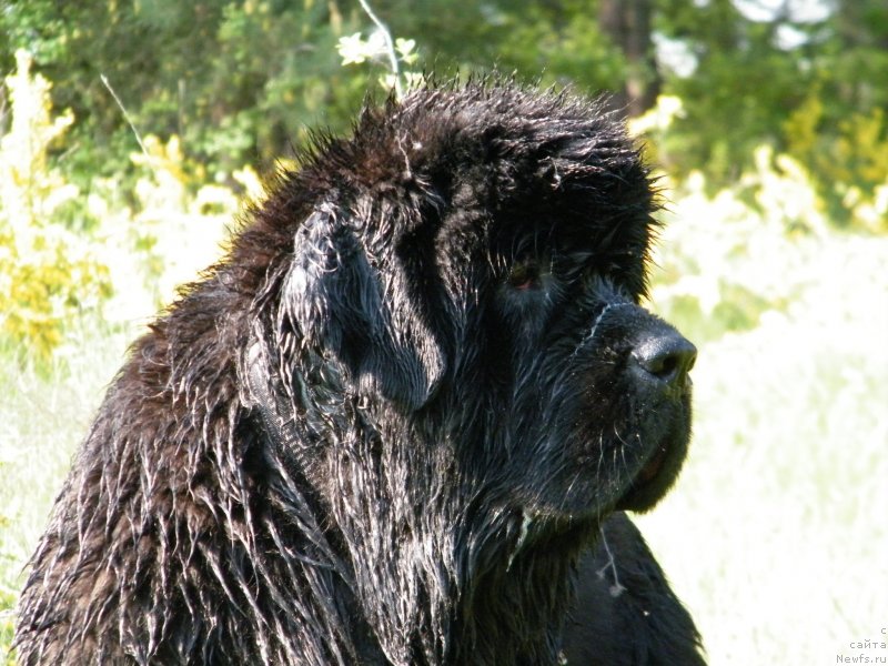 Фотография № 152434