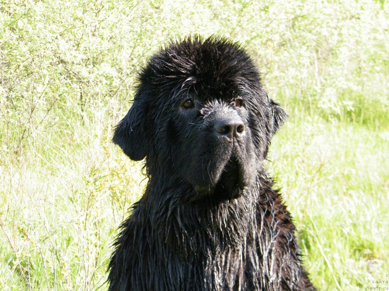 Фотография № 152435