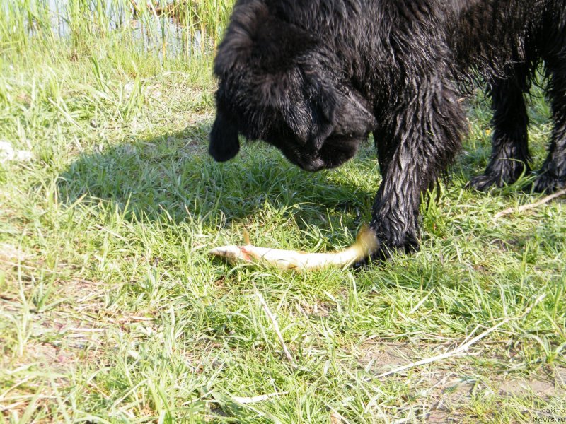 Фотография № 152440