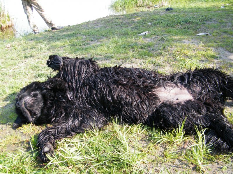 Фотография № 152441