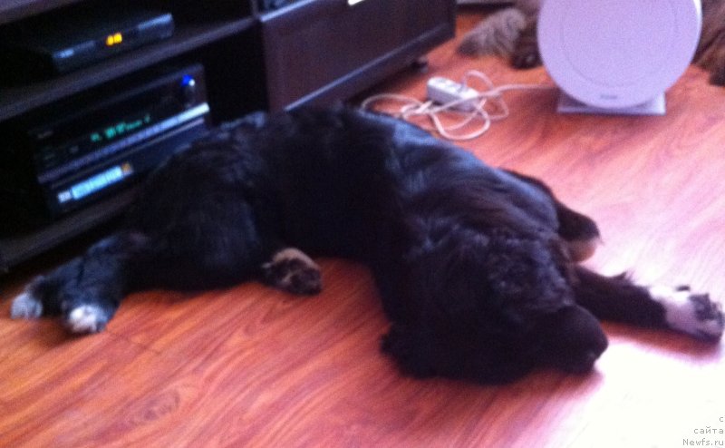 Фотография № 152453