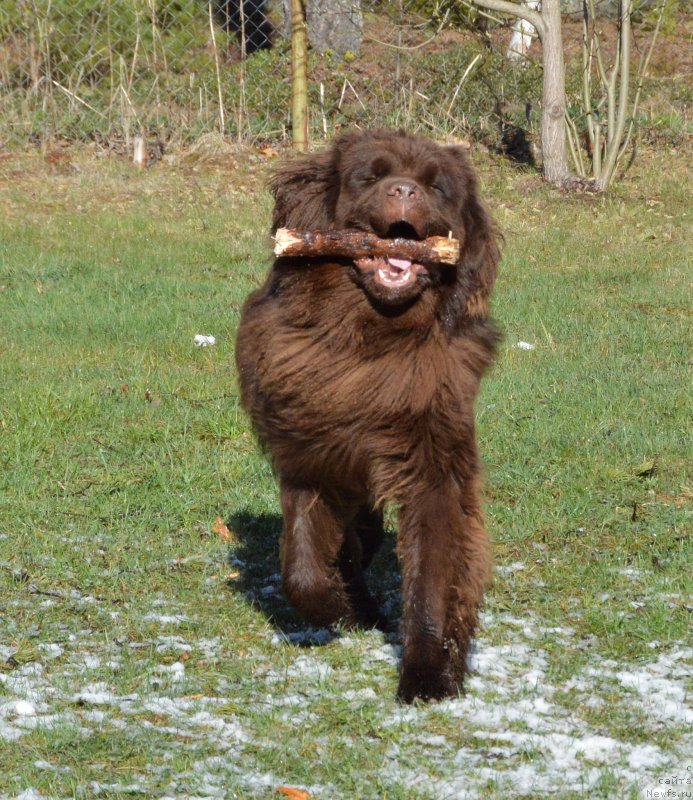 Фотография № 152482