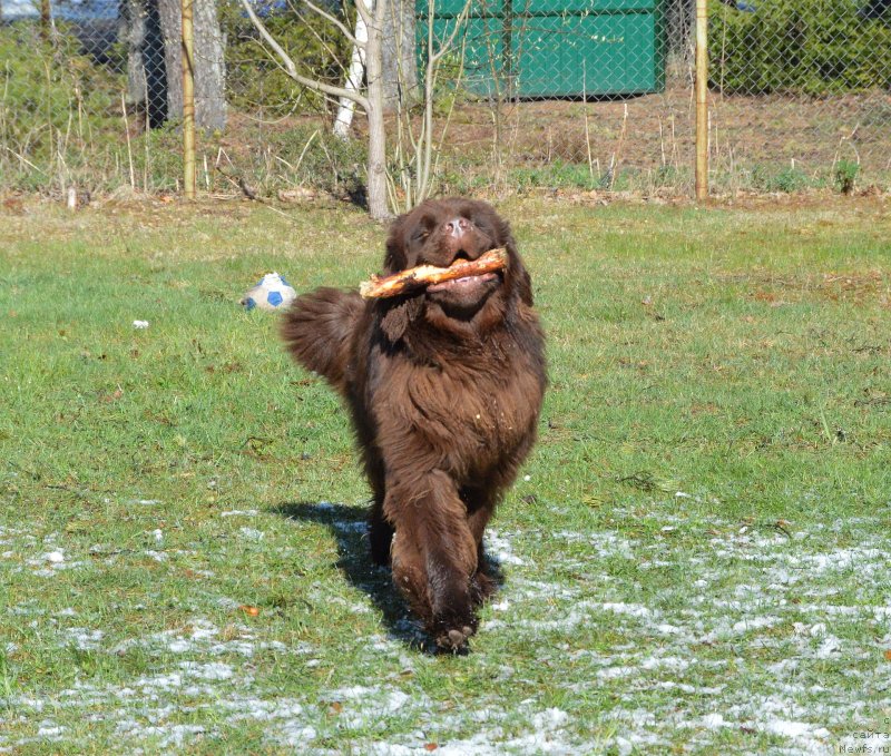 Фотография № 152485