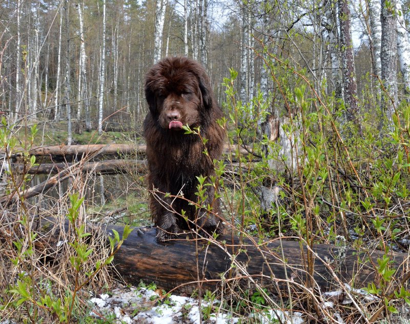 Фотография № 152488