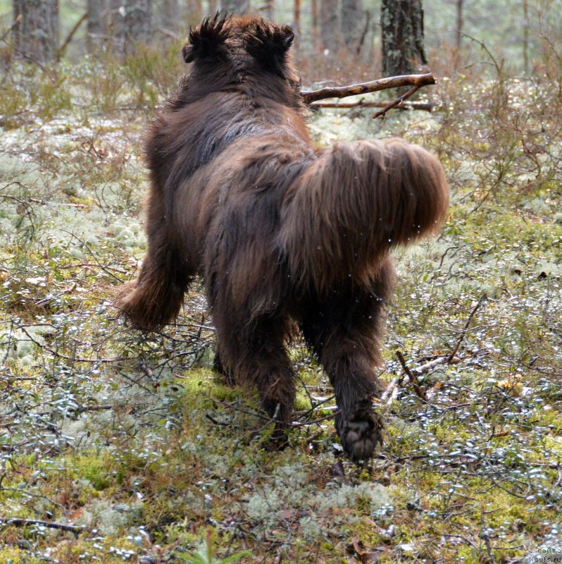 Фотография № 152490