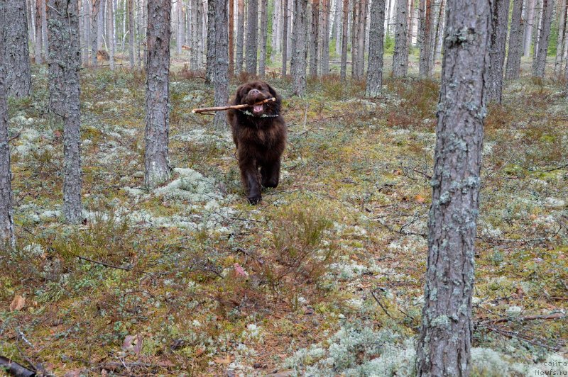 Фотография № 152491