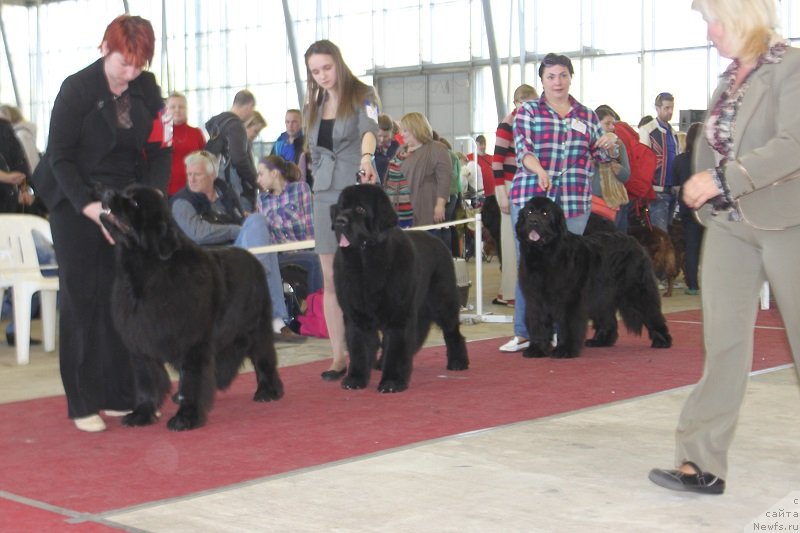 Фотография № 152493