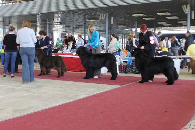 Фотография № 152497