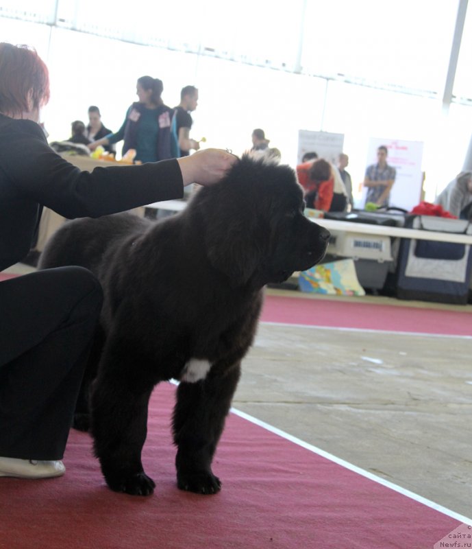 Фотография № 152532