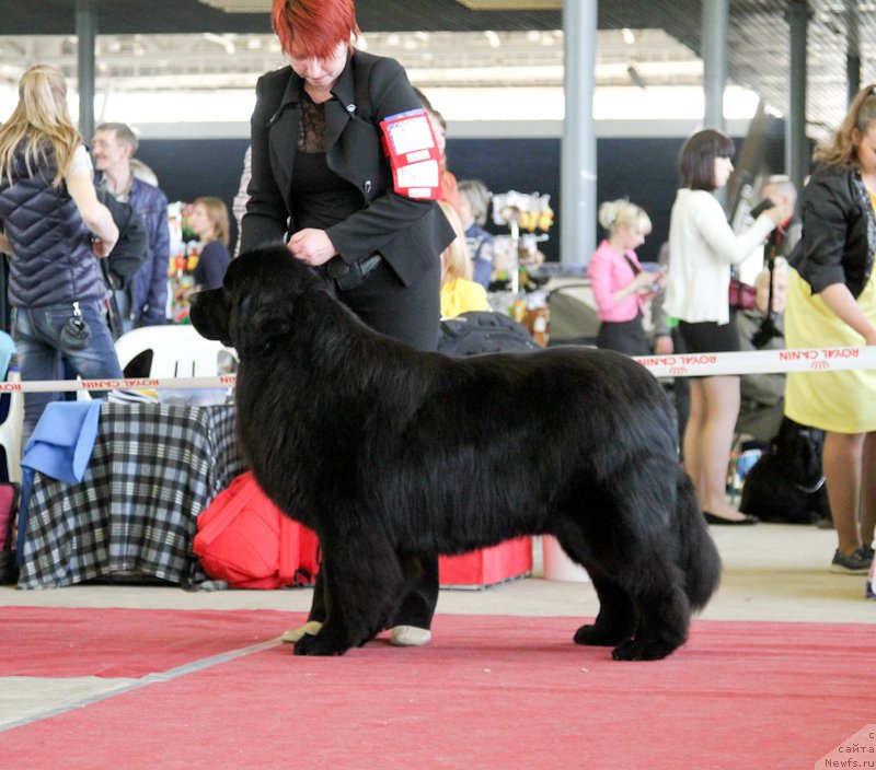 Фотография № 152535