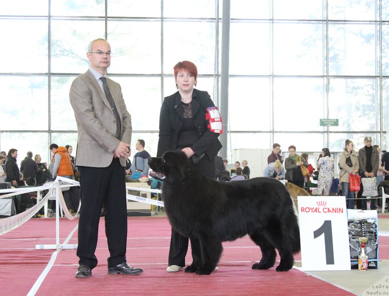 Фотография № 152536