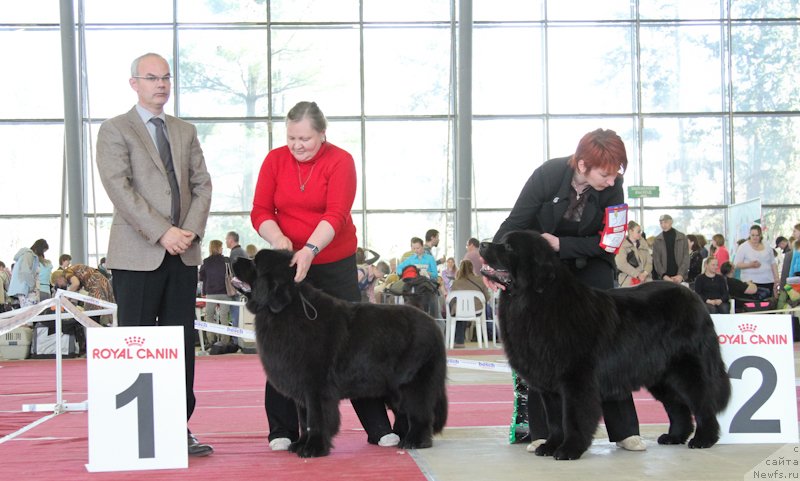 Фотография № 152549