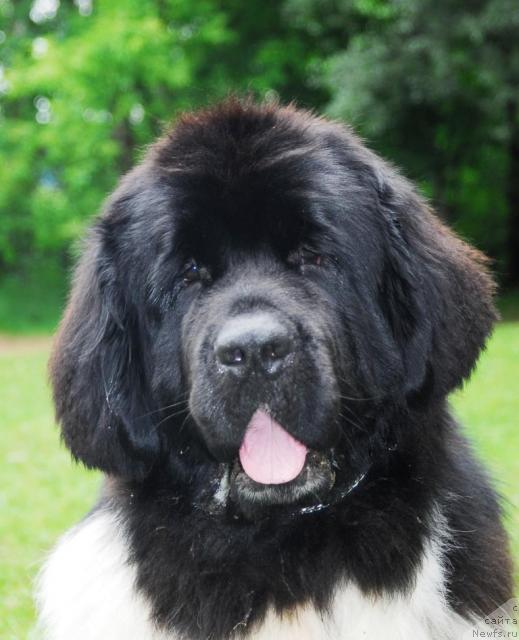 Фотография № 15255