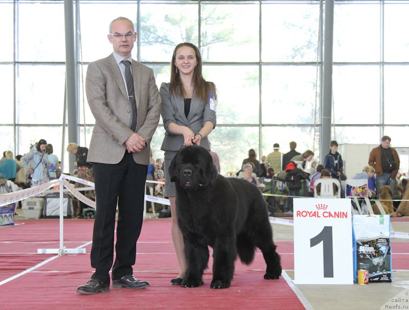 Фотография № 152551