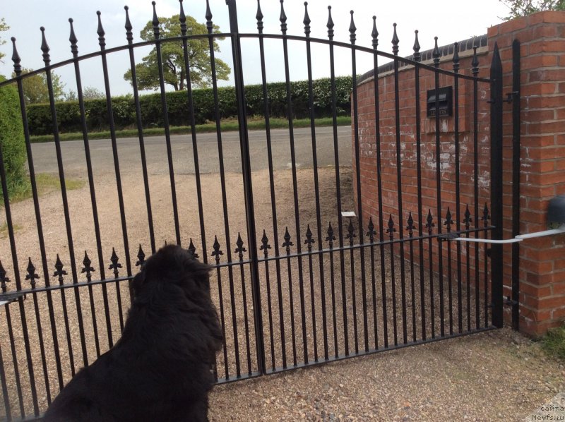 Фотография № 152562