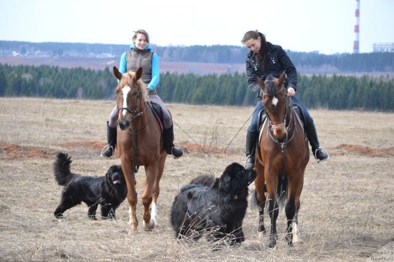 Фотография № 152614