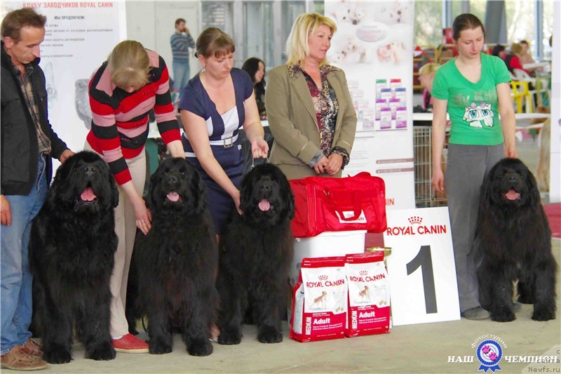 Фотография № 152619