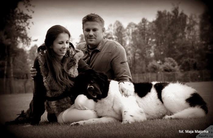 Фотография № 152642