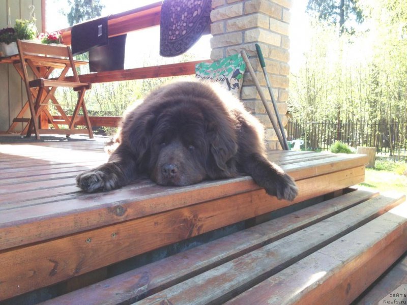 Фотография № 152677