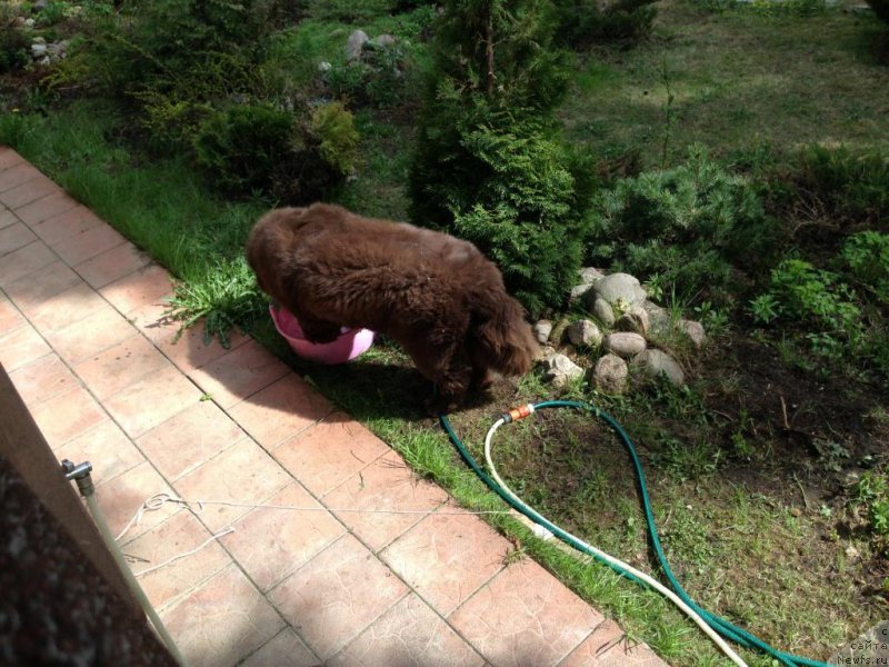 Фотография № 152678