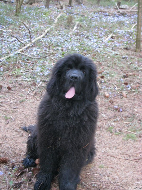 Фотография № 152718