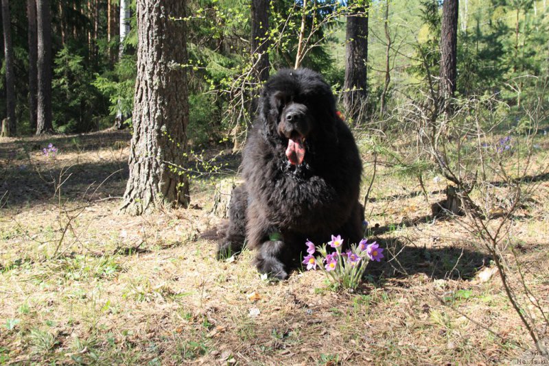 Фотография № 152767