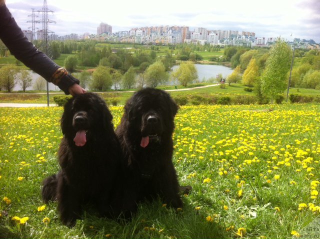 Фотография № 152798