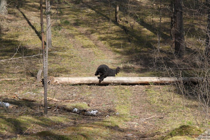 Фотография № 152816