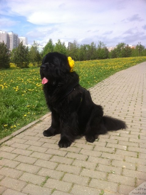 Фотография № 152824