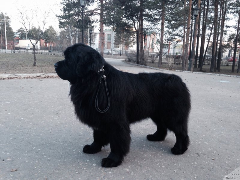 Фотография № 152841