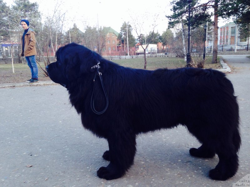 Фотография № 152842