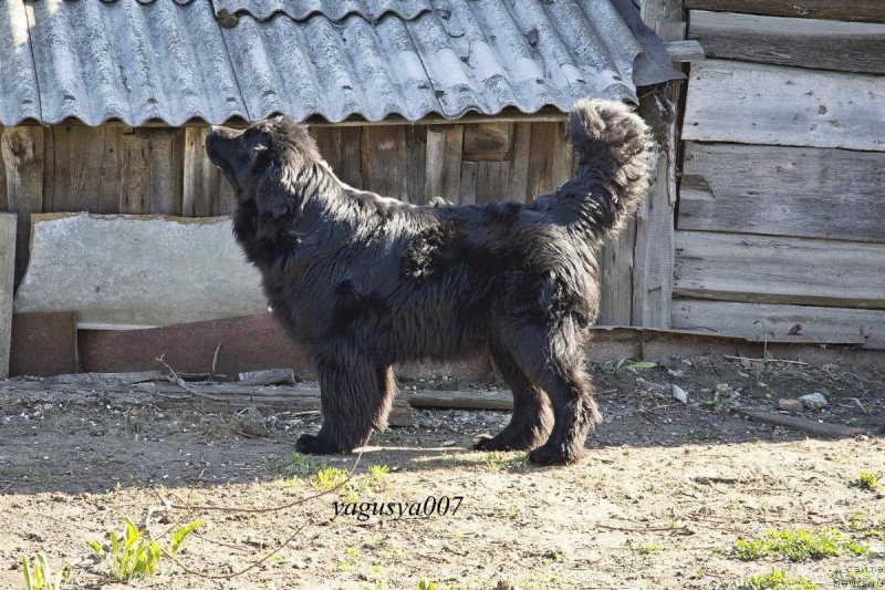 Фотография № 152844