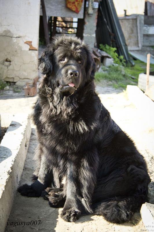 Фотография № 152848