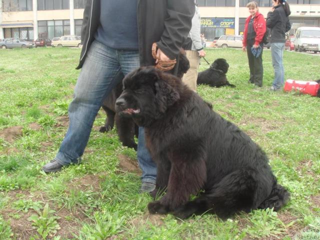 Фотография № 15286