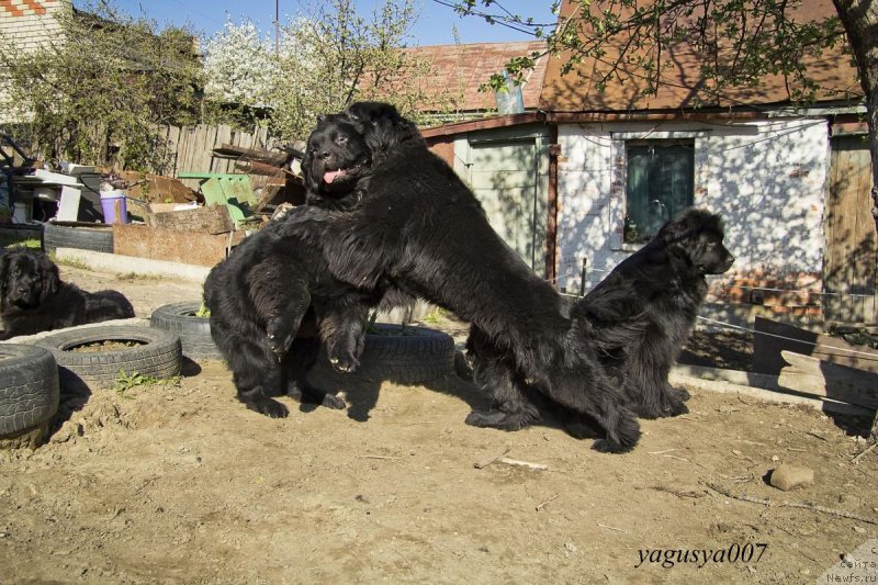 Фотография № 152860