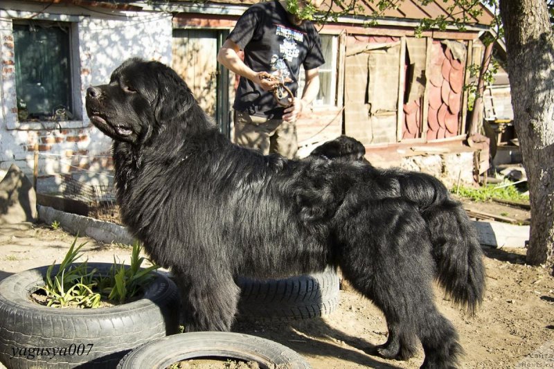 Фотография № 152865