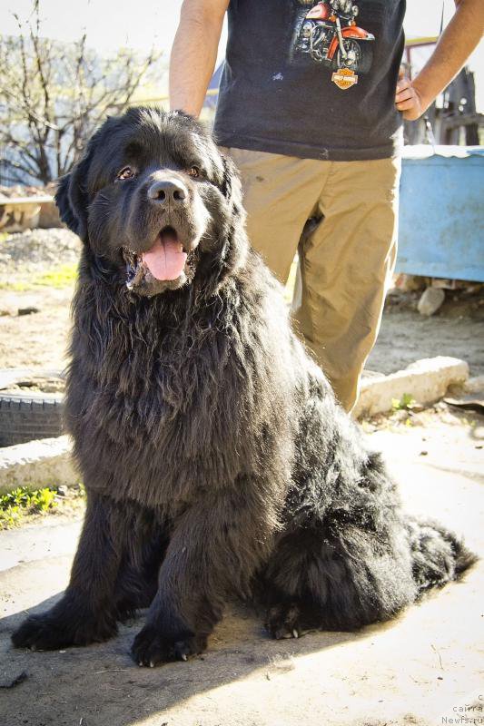 Фотография № 152866