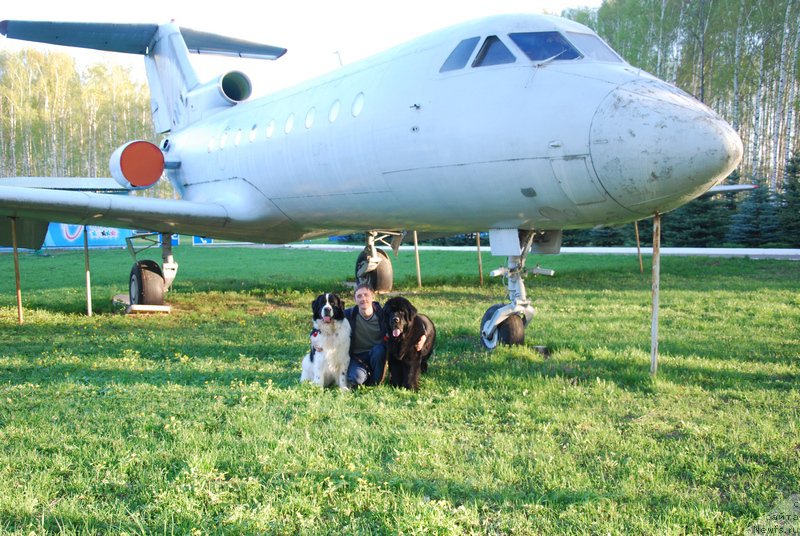 Фотография № 152874