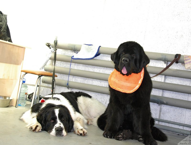 Фотография № 152875